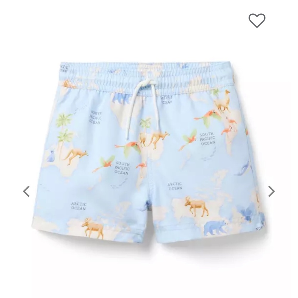 Animal Map Trunk